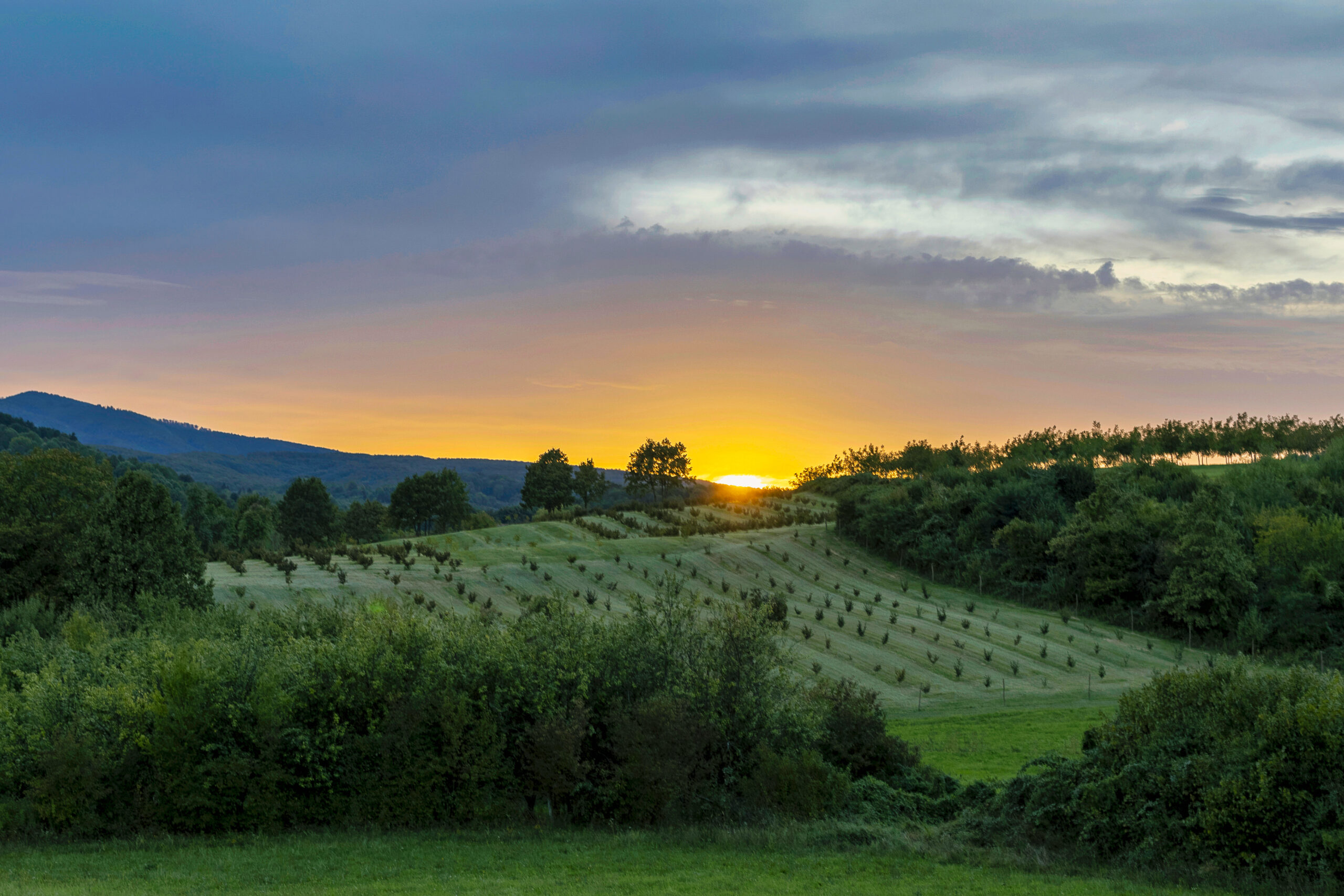 Friendly Tour | Turistička agencija Slavonija & Podravina 6 Slavonija i Podravina autor Borna Subota 47 scaled